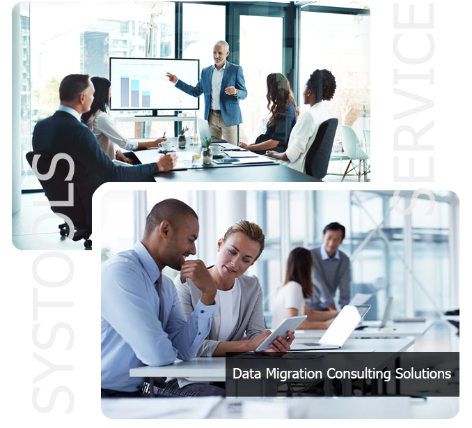 Data Migration Strategy