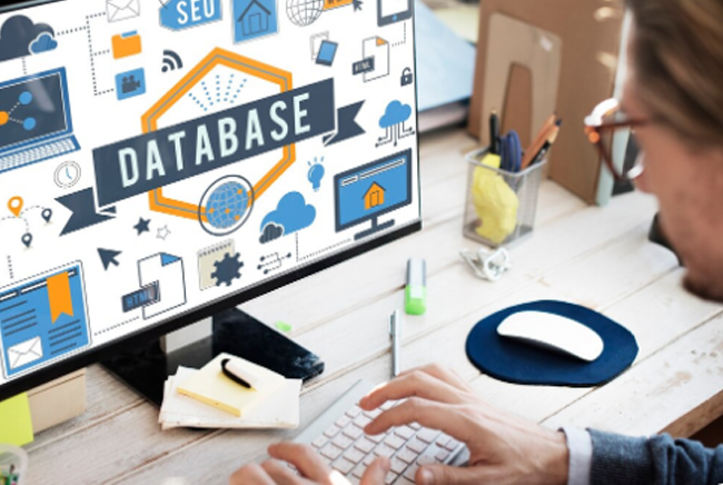 Data Migration Consulting